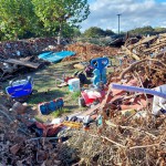 20251029_155859 copia