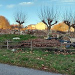 20251229_173658 copia