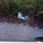 IMG-20261020-WA0004 copia 2