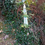 IMG-20261020-WA0005 copia 2