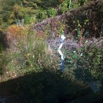 IMG-20261020-WA0008 copia 2
