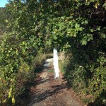IMG-20261020-WA0009 copia 2