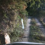 IMG-20261020-WA0010 copia 2